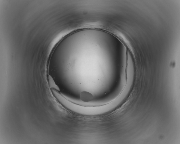 X0000090881336200708171638