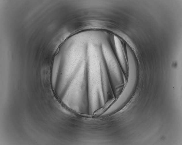 X0000090881337200708171638