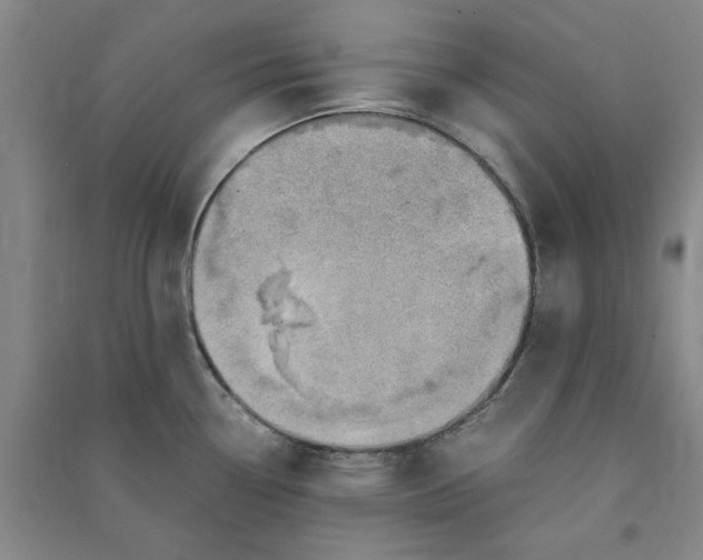 X0000090881338200708171638