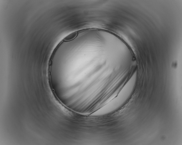 X0000090881339200708171638