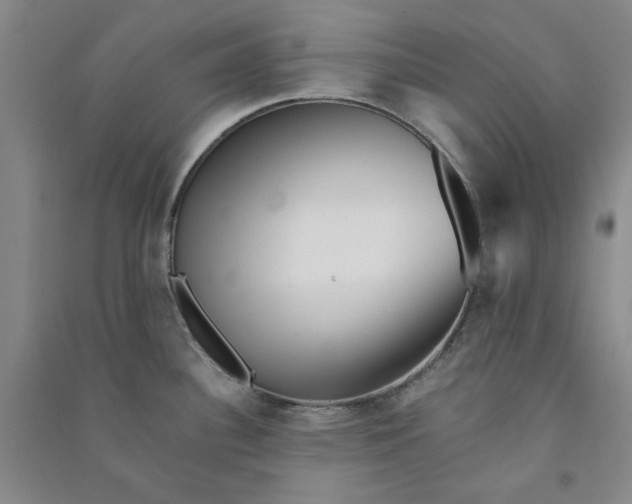 X0000090881340200708171638