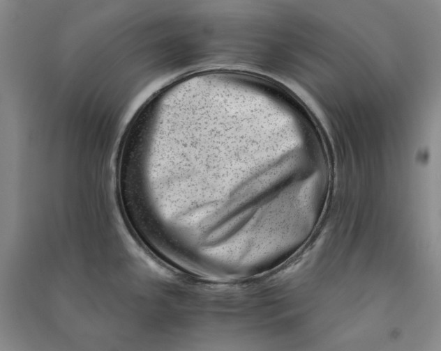 X0000090881341200708171638