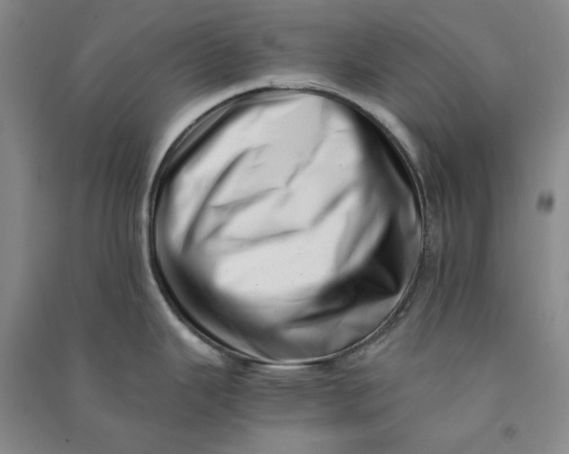 X0000090881343200708171638