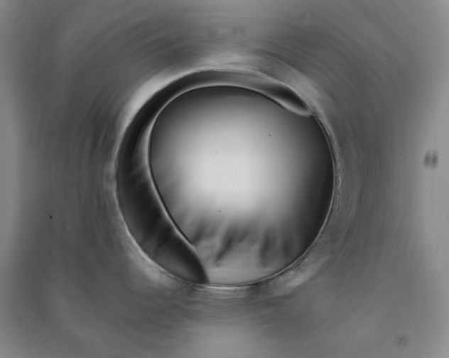 X0000090881344200708171638