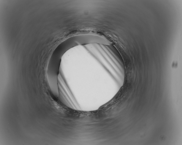 X0000090881345200708171637
