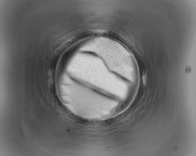 X0000090881347200708171637