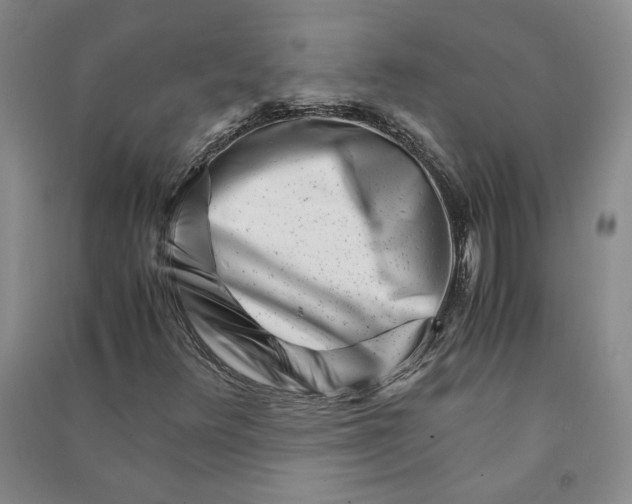 X0000090881348200708171637