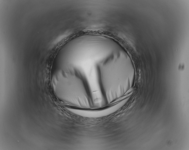 X0000090881350200708171637