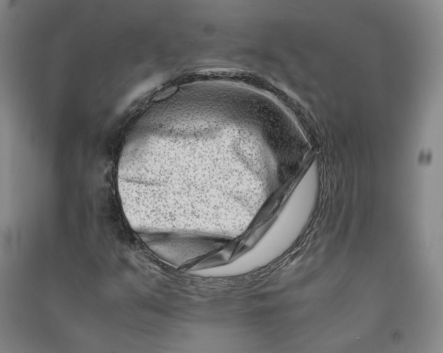 X0000090881351200708171637