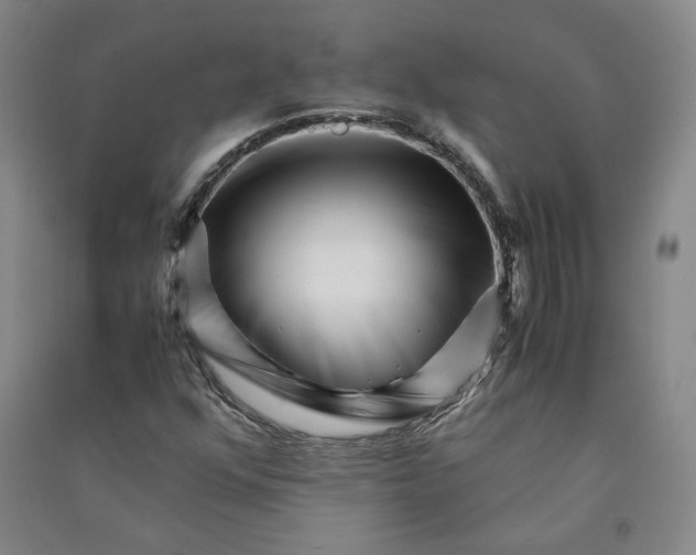 X0000090881352200708171637