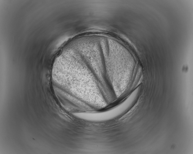X0000090881355200708171637