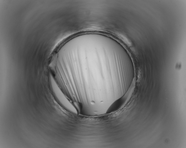 X0000090881356200708171637