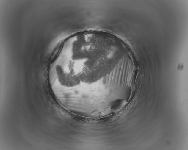 X0000090881359200708171637