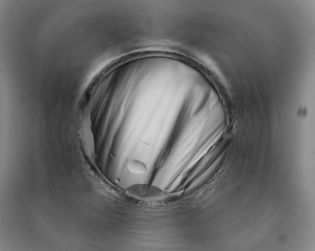 X0000090881360200708171637