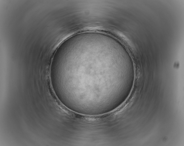 X0000090881361200708171637