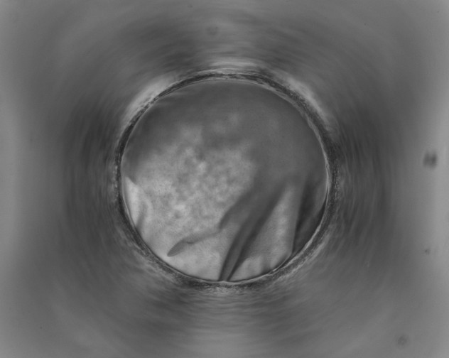 X0000090881362200708171637