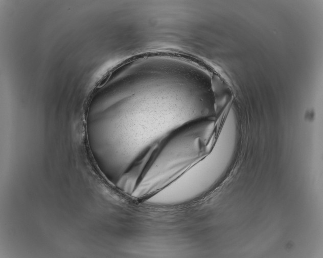 X0000090881363200708171637