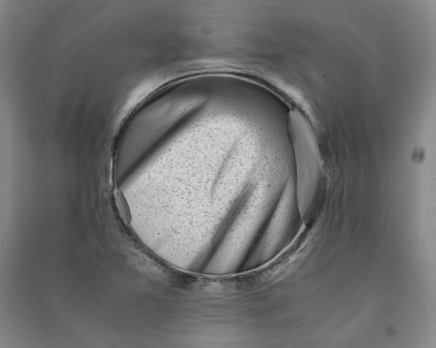 X0000090881365200708171637