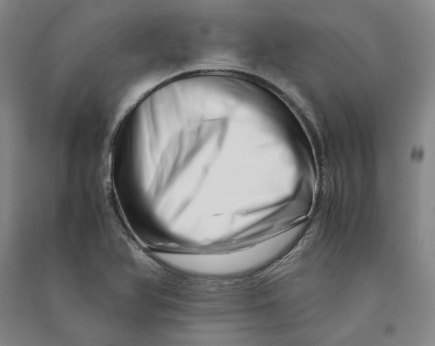 X0000090881366200708171637