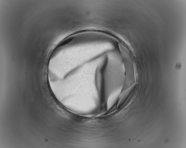X0000090881367200708171637