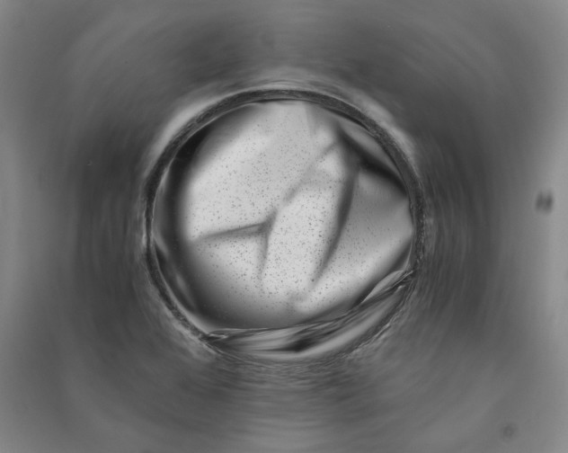 X0000090881368200708171637