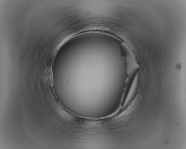 X0000090881369200708171637
