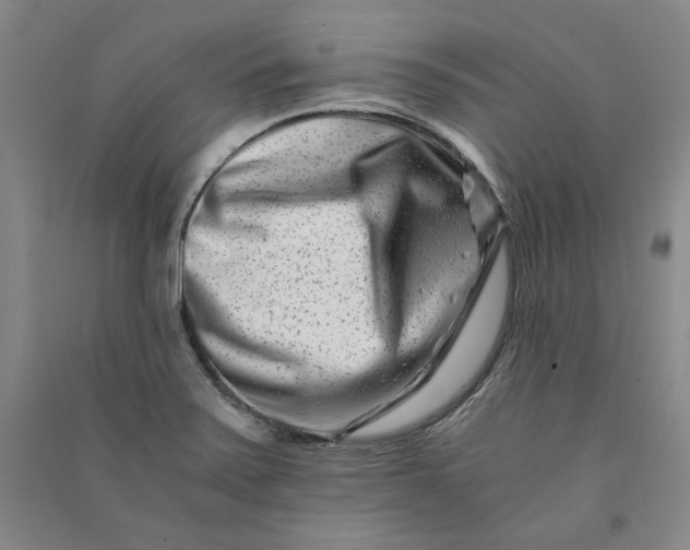 X0000090881371200708171637