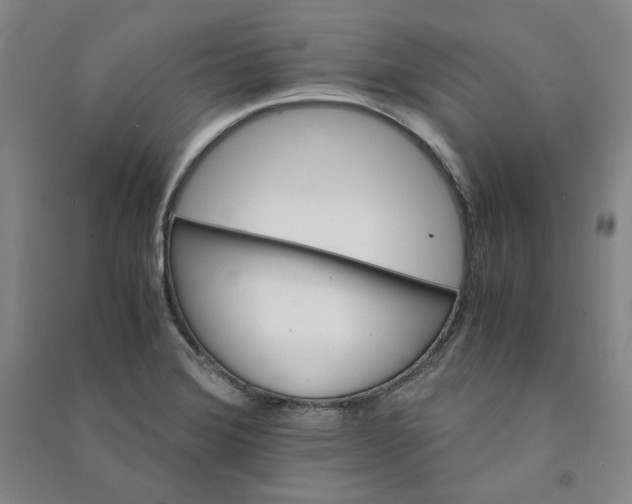 X0000090881372200708171637