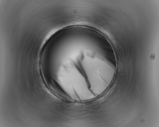 X0000090881374200708171637
