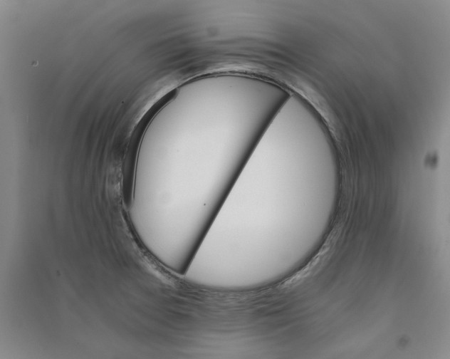 X0000090881377200708171637