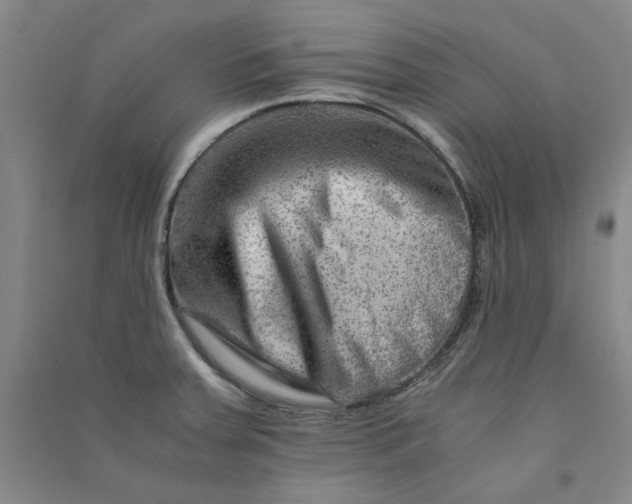X0000090881379200708171637