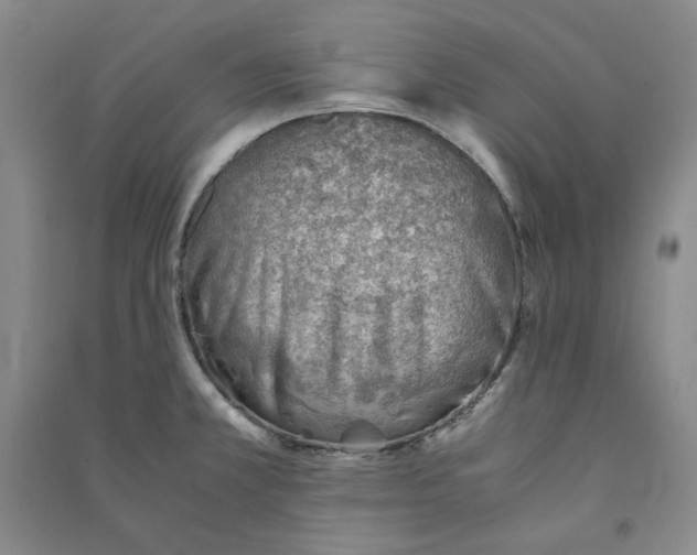 X0000090881381200708171637