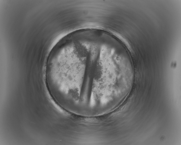 X0000090881383200708171637