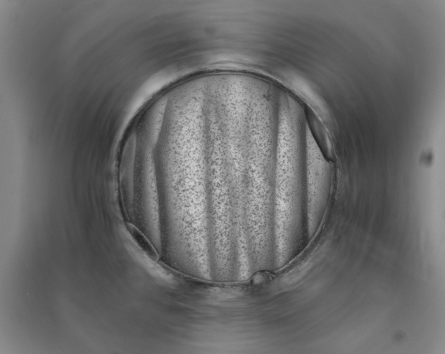 X0000090881384200708171637