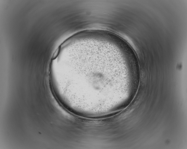 X0000090881387200708171637