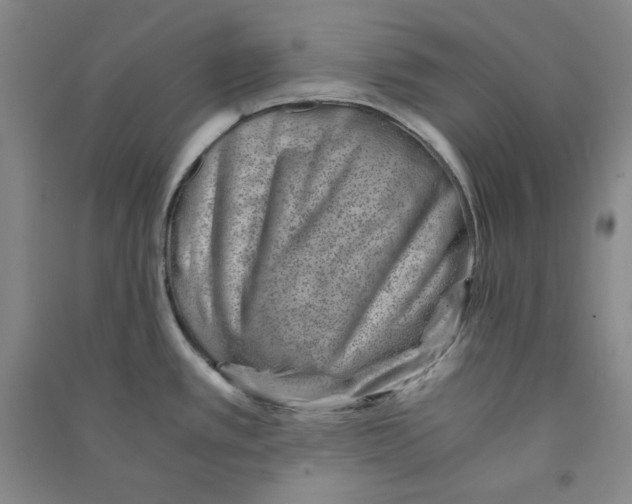 X0000090881389200708171637