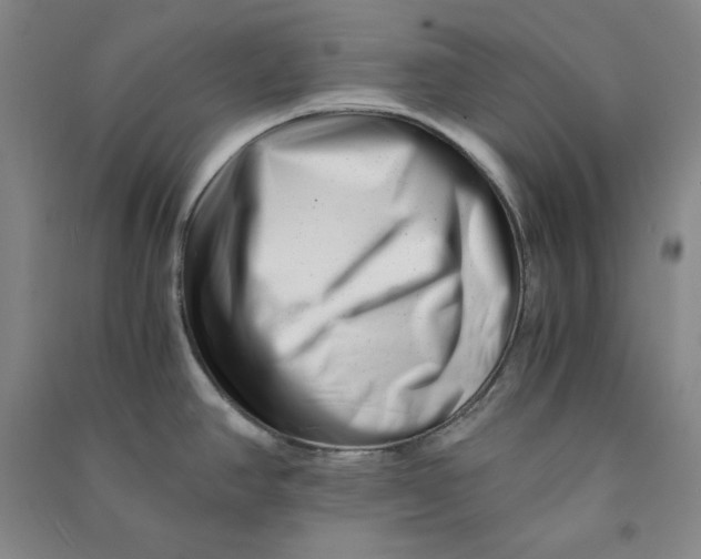 X0000090881390200708171637
