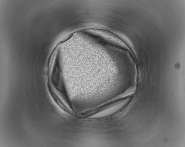 X0000090881391200708171637