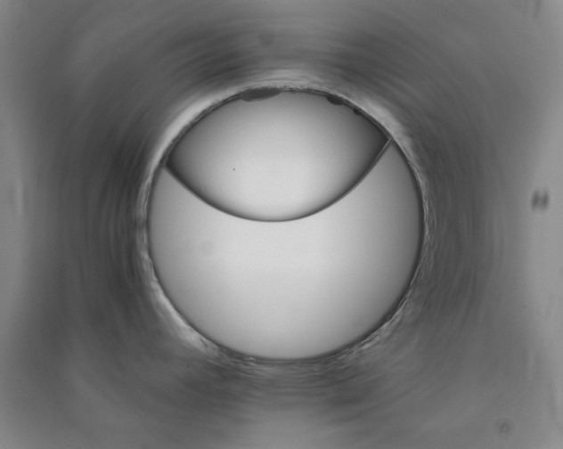 X0000090881392200708171637