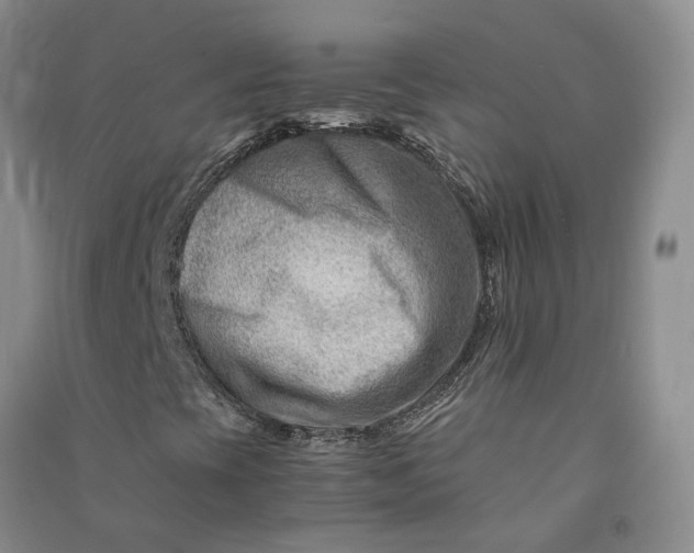 X0000090881393200708171636