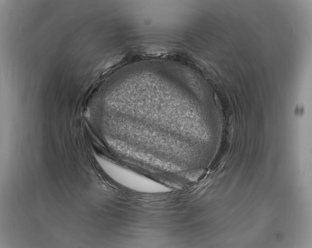 X0000090881394200708171636