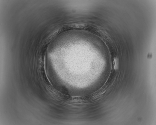 X0000090881395200708171636