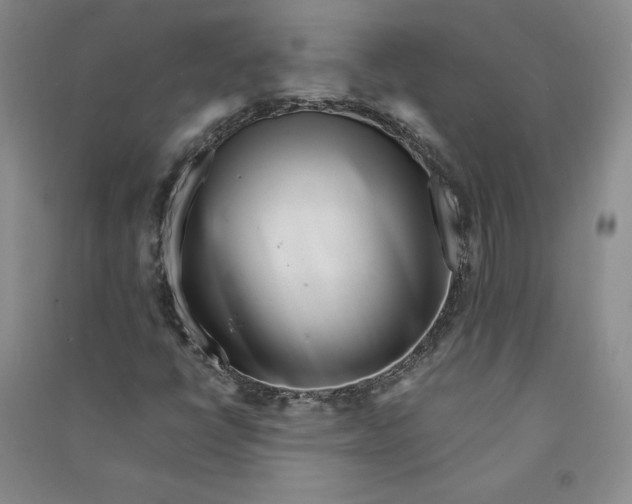 X0000090881398200708171636