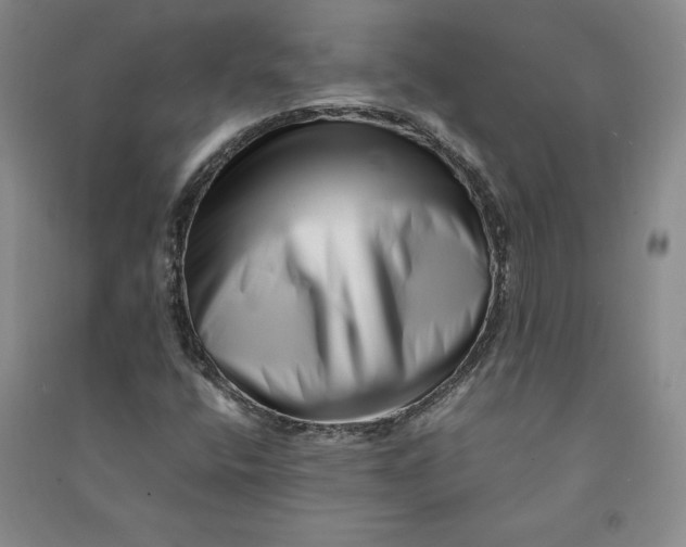 X0000090881400200708171636