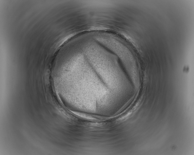 X0000090881401200708171636