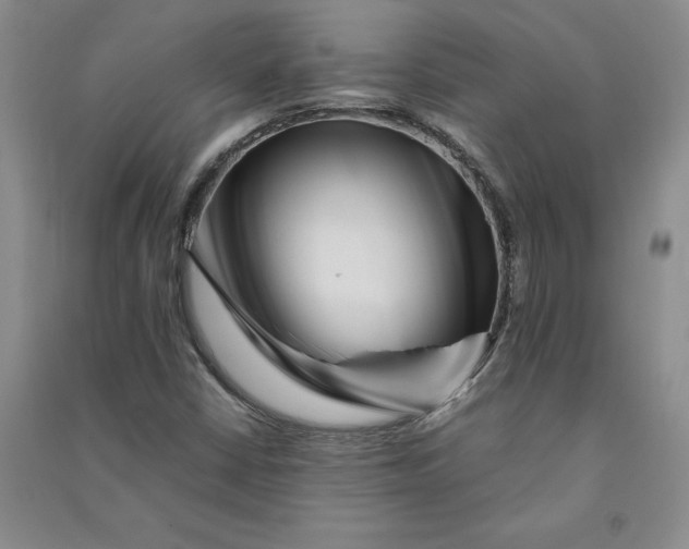 X0000090881402200708171636