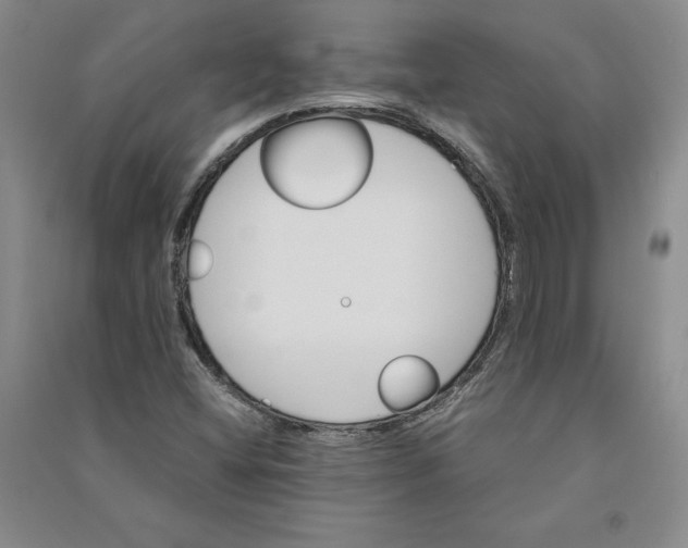 X0000090881404200708171636