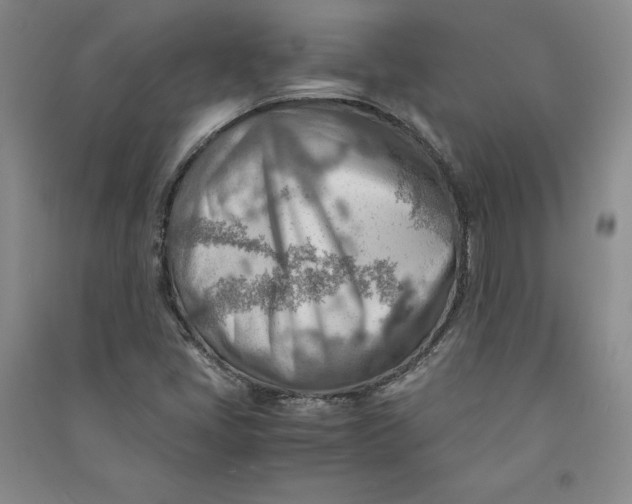 X0000090881405200708171636