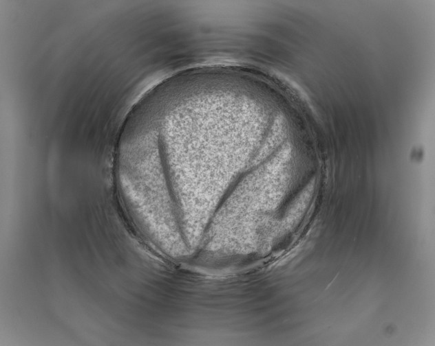 X0000090881409200708171636