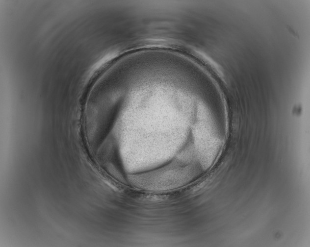 X0000090881411200708171636